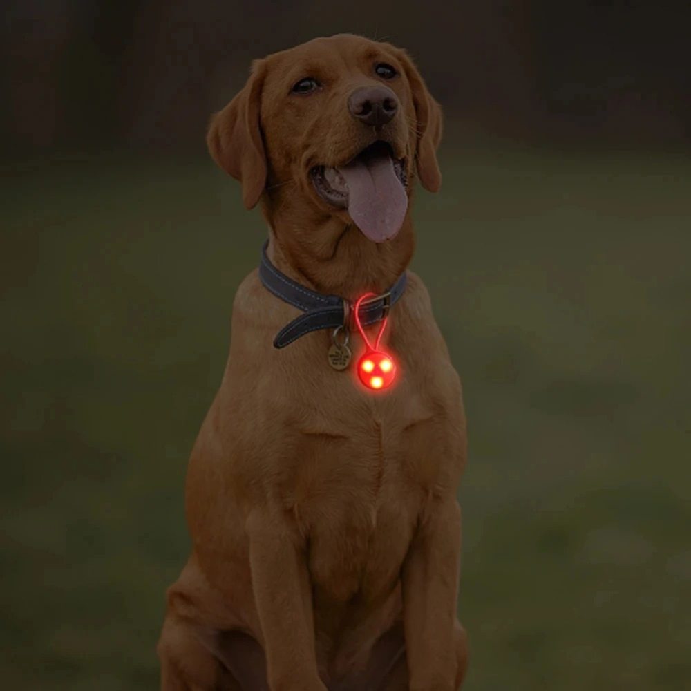 Outdoor Backpack Lights Silico - Outdoor Camping Lights String review and price